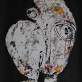 DSC 4048